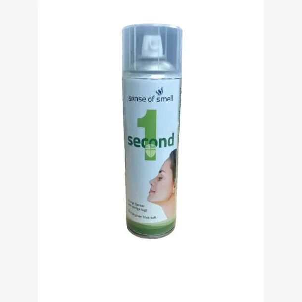 1Second lugtfjerner 650ml